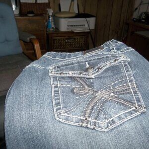 Women's Earl Brand Jeans, size 16W